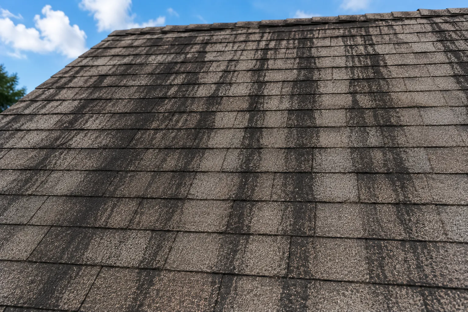 ALGAE OR STAINED ROOF